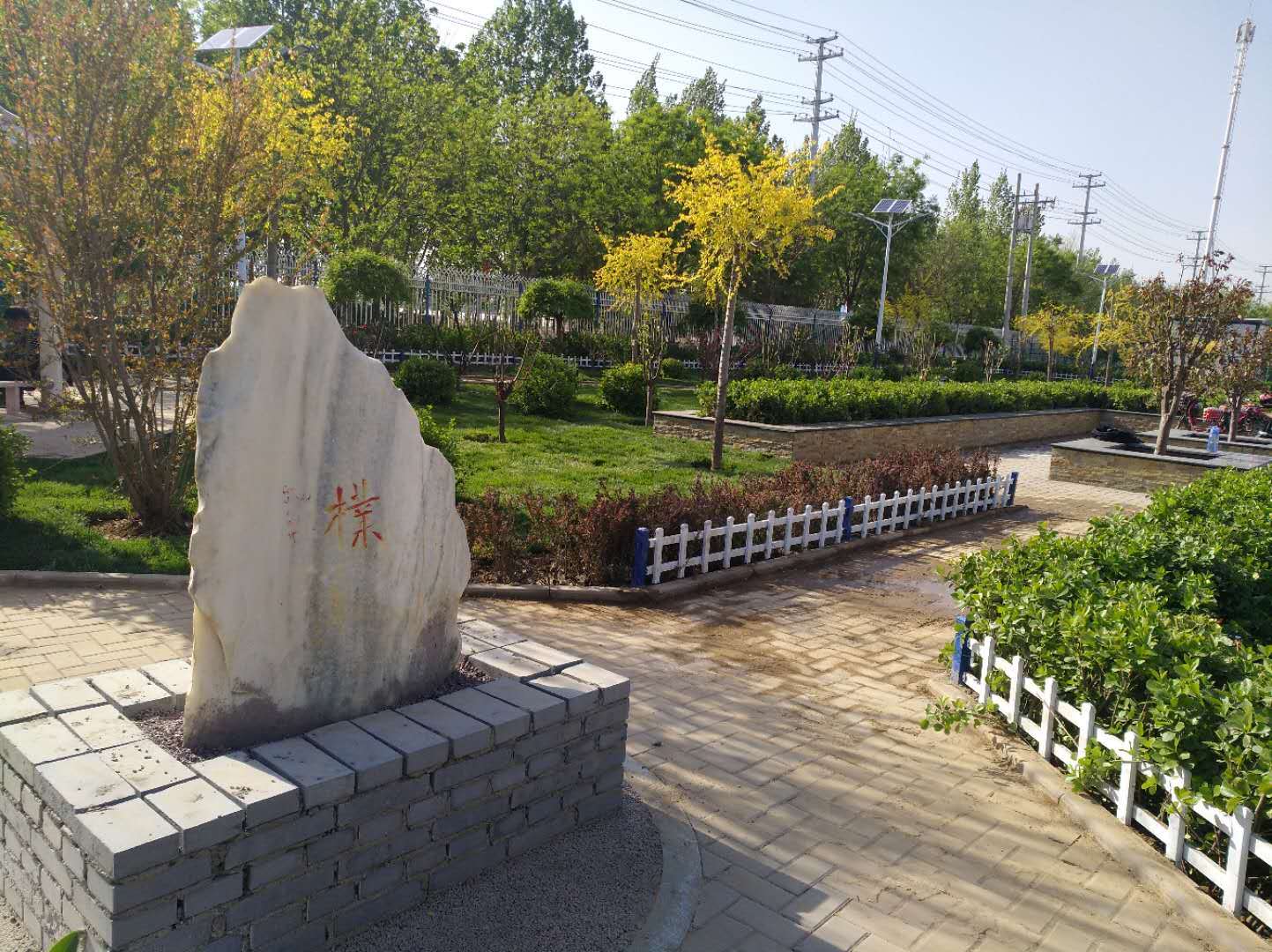 1592874966523.jpg