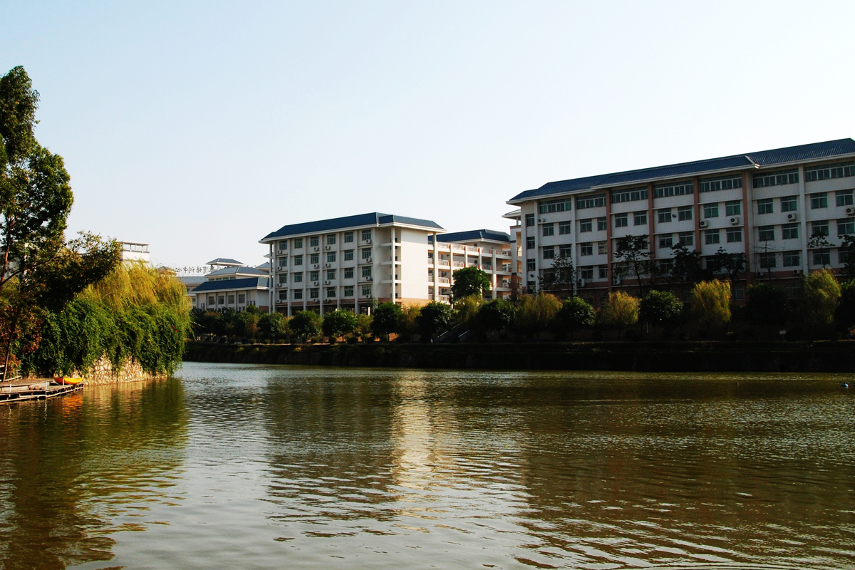 信息湖