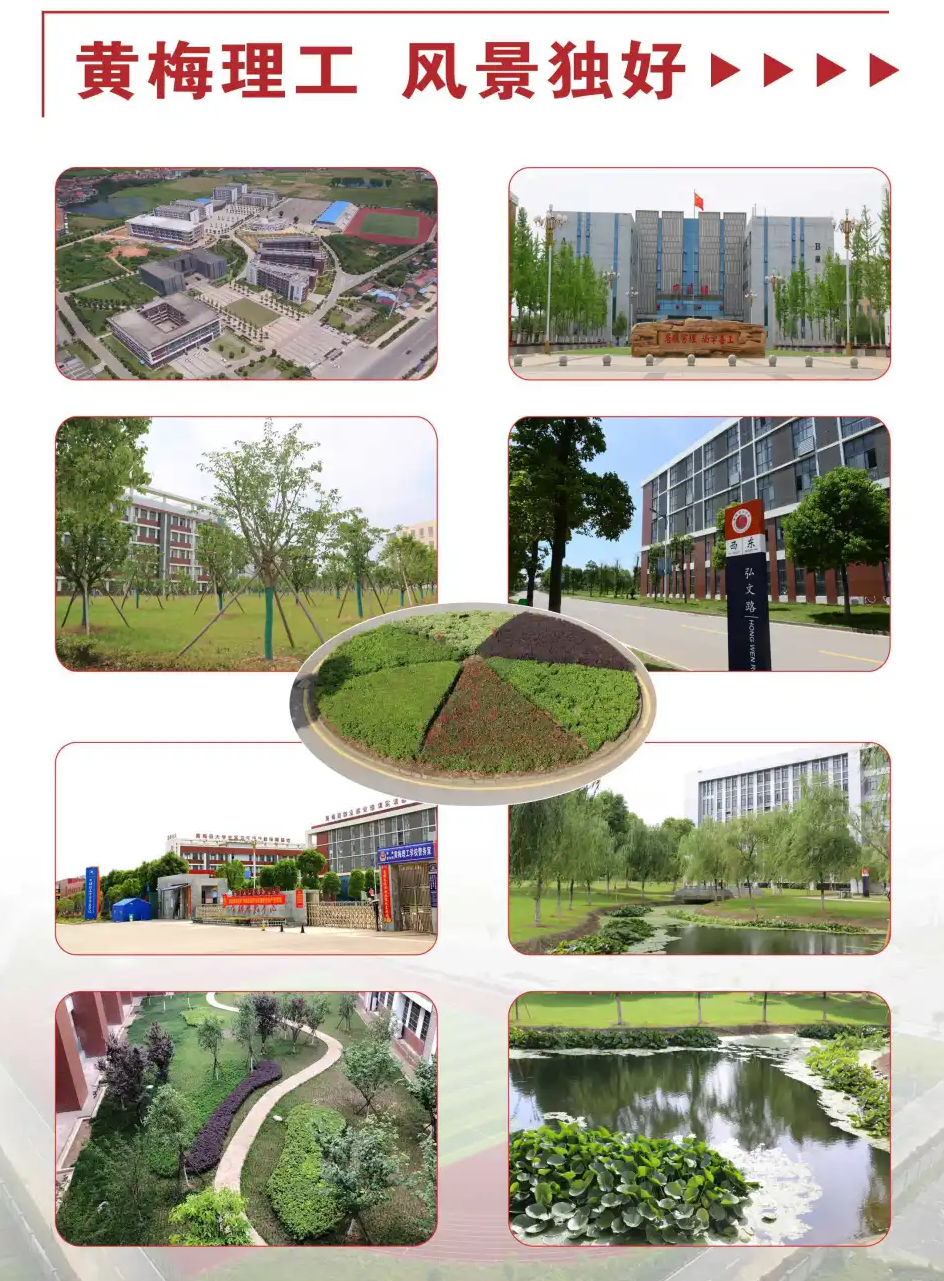 无标题.png